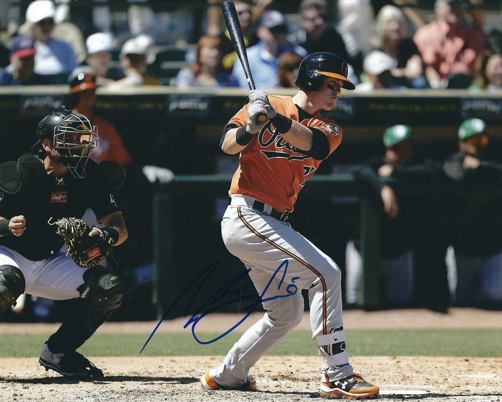 Autographed CHANCE SISCO Baltimore Orioles 8x10 Photo Poster painting - COA