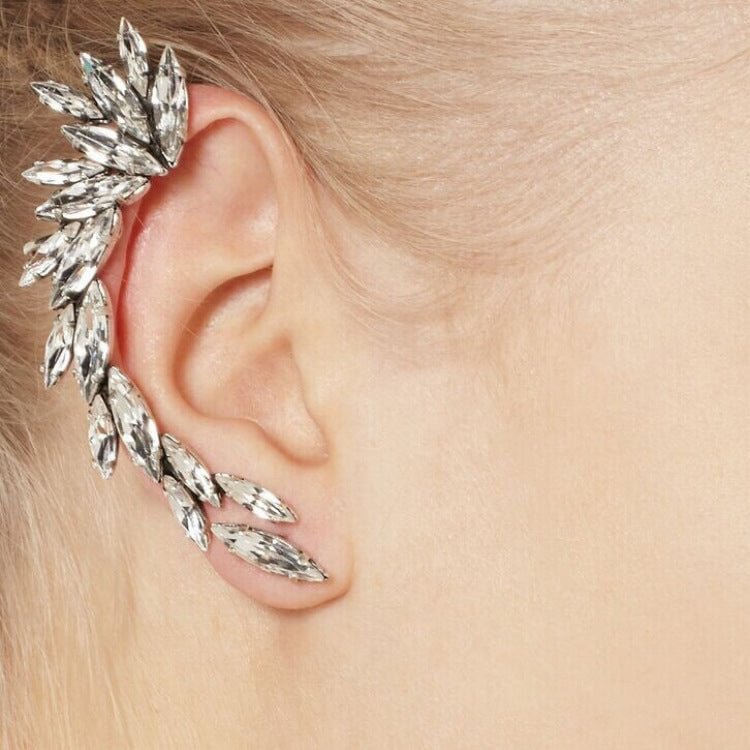 Fashionable earrings ear clips, earrings