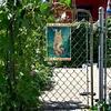Retro Mermaid Cat - Vintage Metal Signs(8*12Inch)