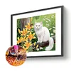 Katze und Lilie - Rundbohrer Diamantmalerei - 55*45cm