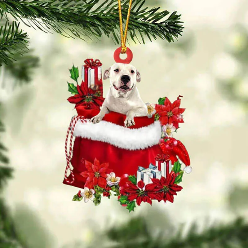 VigorDaily Dogo Argentino In Gift Bag Christmas Ornament GB025