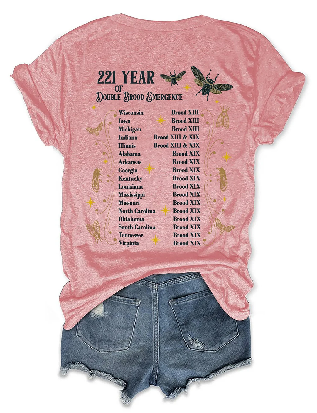 The Cicadas Reunion Tour Summer 2024 T-shirt