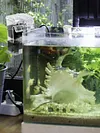 Aquarium Hang On Filter USB Power Interface Oxygen Pump Flow 250L/H Mini Filter