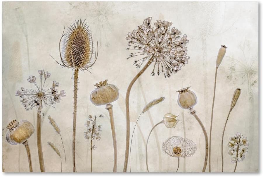 Growing Old by Mandy Disher, 22x32-Inch Canvas Wall Art 22x32