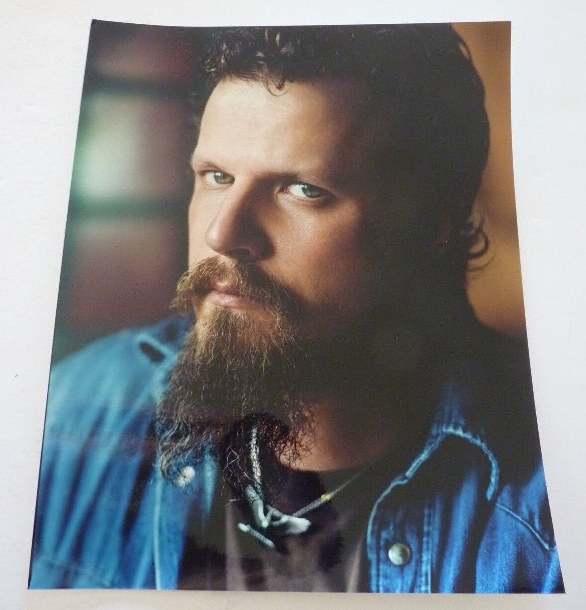 Jamey Johnson Country Music 8x10 Color Promo Photo Poster painting #3