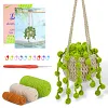 Hanging Potted Plants Crochet Starter Kit with Step-by-Step Instructions and Video Tutorials Complete Crochet Kit for Beginners Decoration 