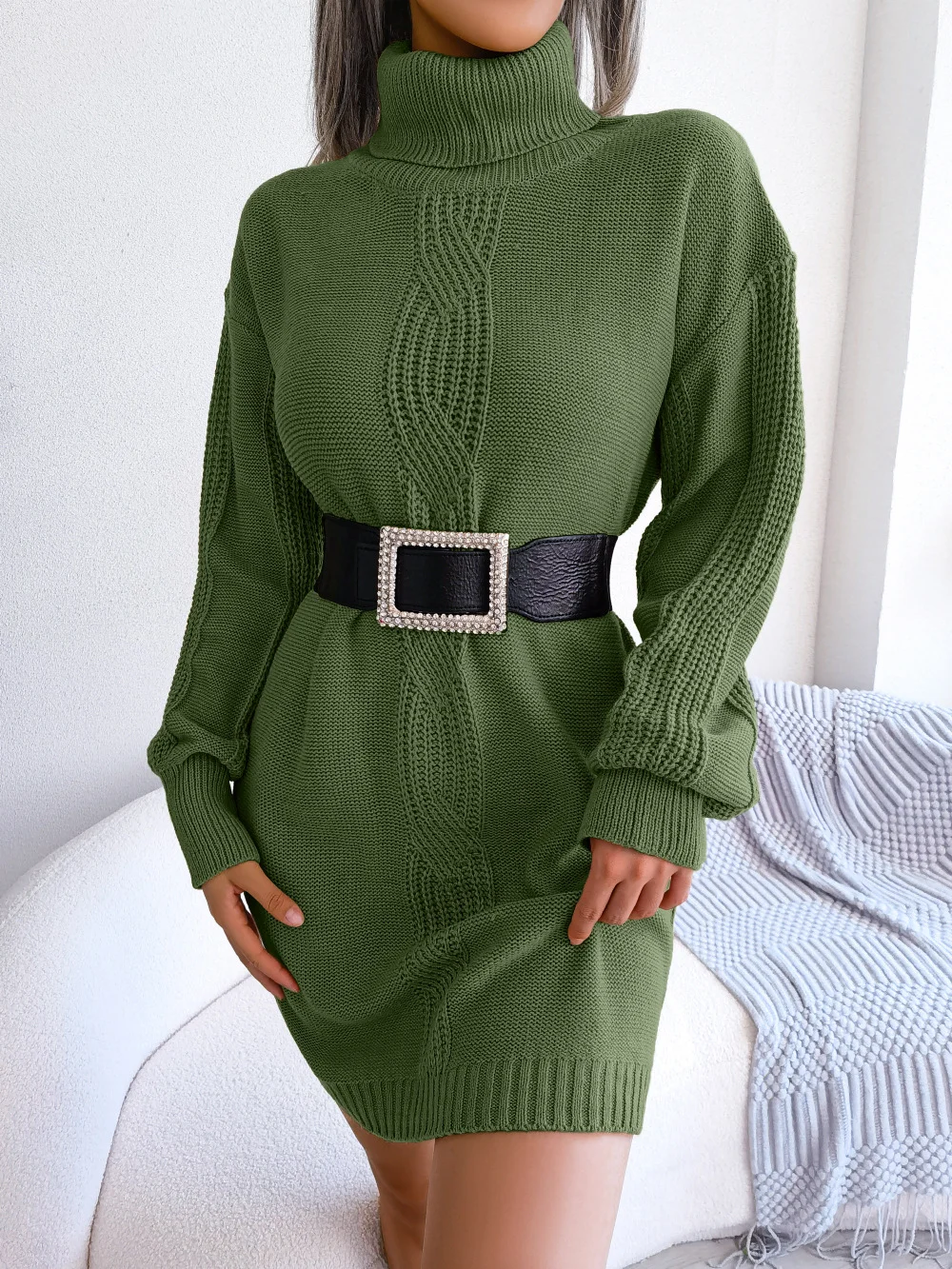 Turtleneck Center Jacquard Lantern Sleeves