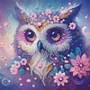 DIY Partial Special Shaped Drill Diamond Painting-Owl