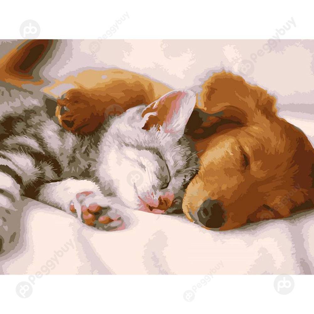 

40*50CM Paint By Numbers-Cat Dog, 501 Original