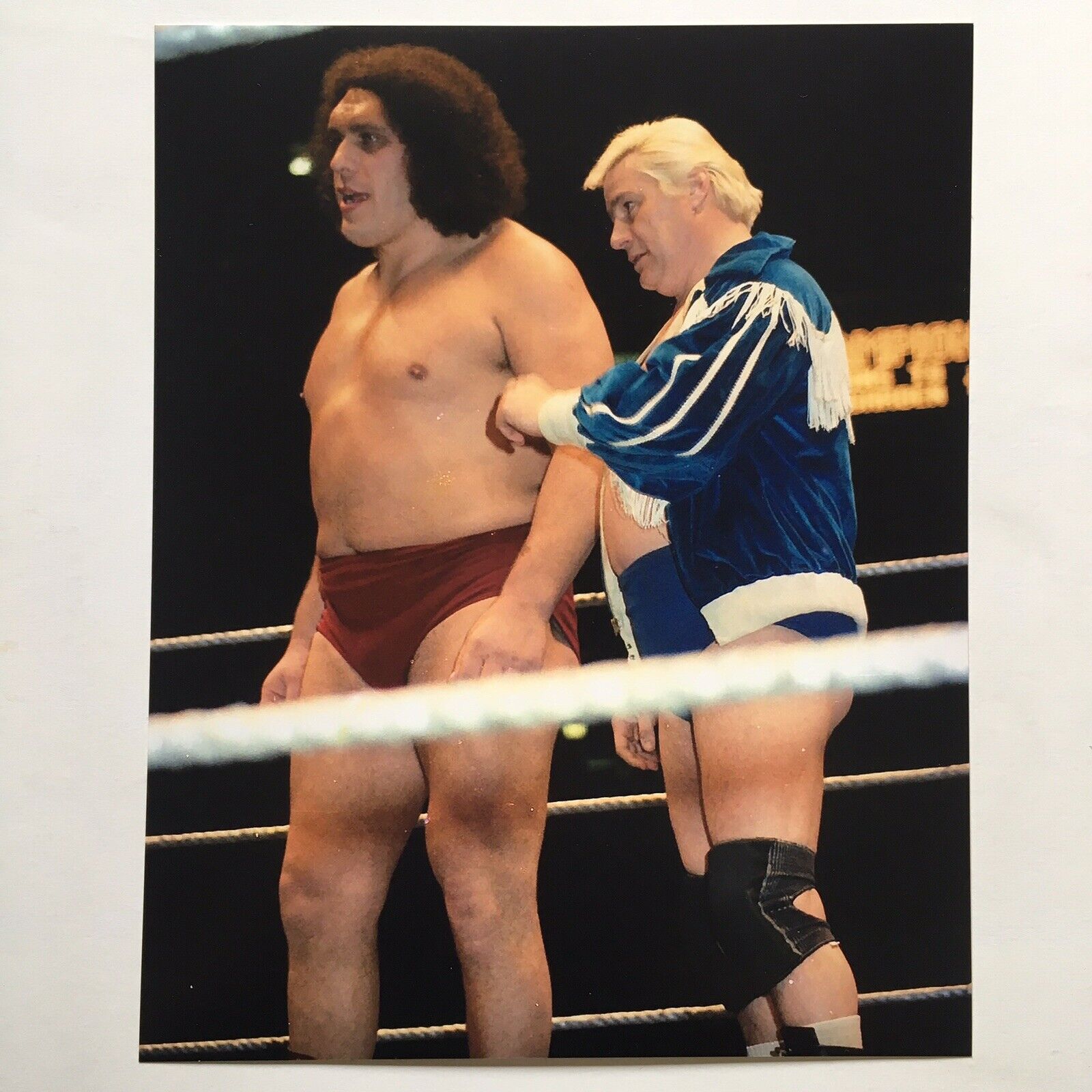 Andre The Giant 8x10 Photo Poster painting WWF WRESTLING Pat Patterson WWE HOF