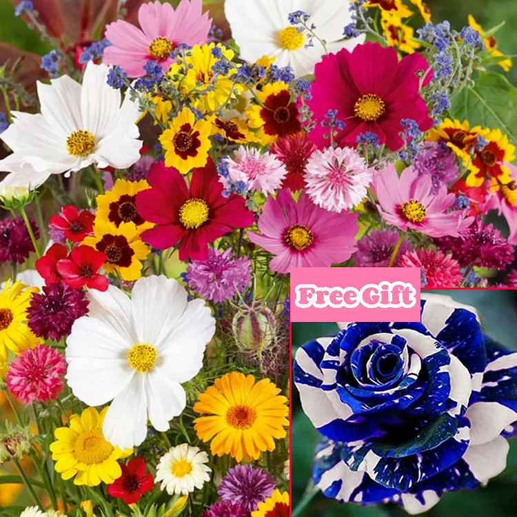 🔥Last day clearance💐Mixed Perennial Flowers Seeds-Over 60 kinds mixed