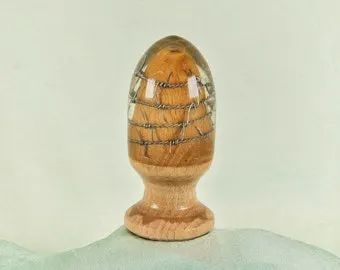 Butt plug in BDSM style with barbed wire size 2