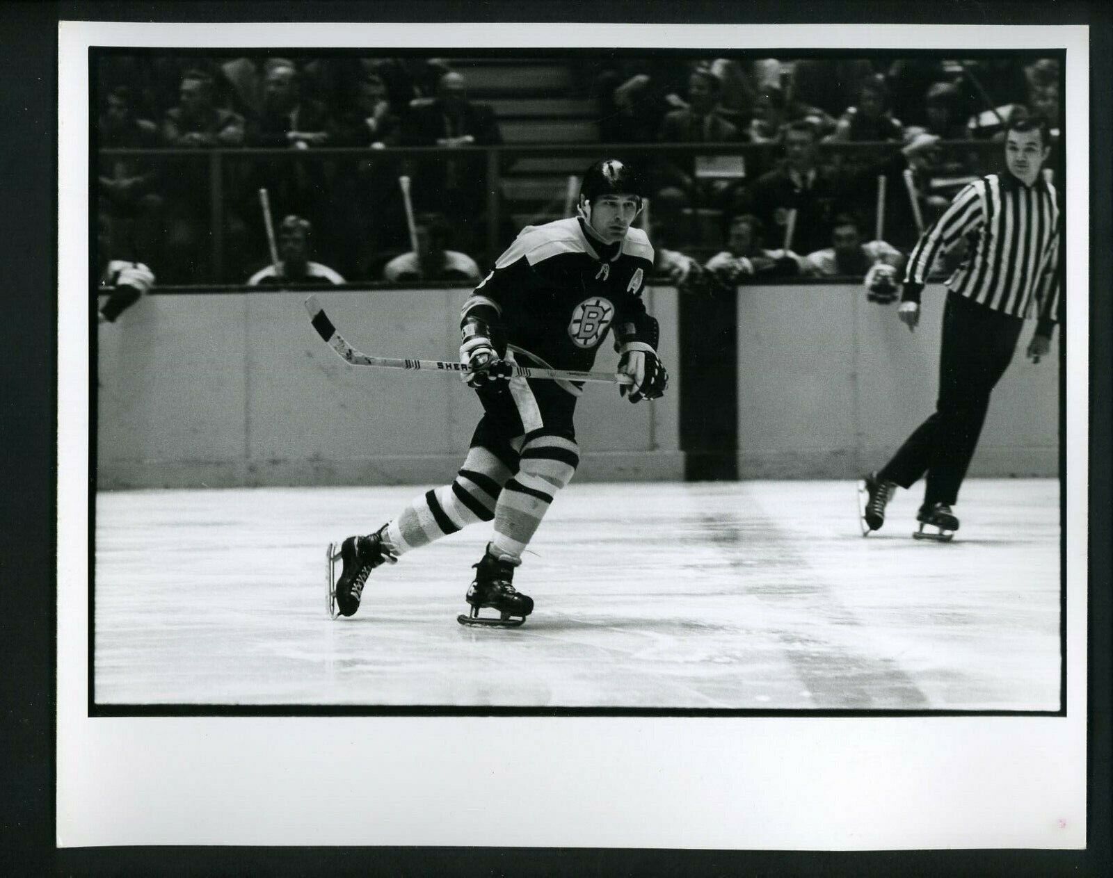 Ted Green skating in open ice circa 1960's Press Original Photo Poster painting Boston Bruins