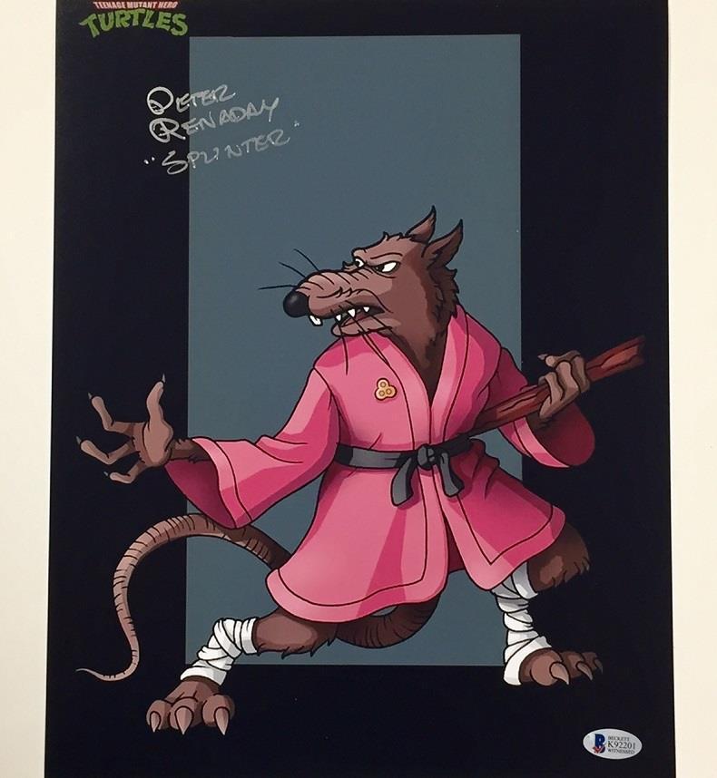 Ninja Turtles PETER RENADAY Splinter