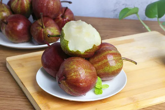 Pyrus pyrifolia 'Nijisseiki'🌈Rainbow Pear Seeds