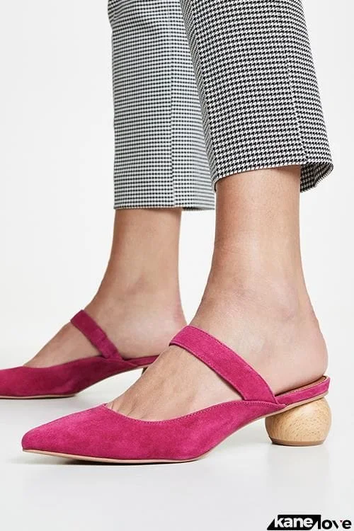 Point Toe Low Heel Mules