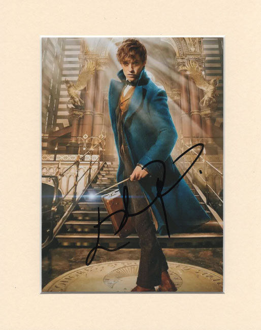 EDDIE REDMAYNE NEWT SCAMANDER FANTASTIC BEASTS PP MOUNTED SIGNED AUTOGRAPH Photo Poster painting