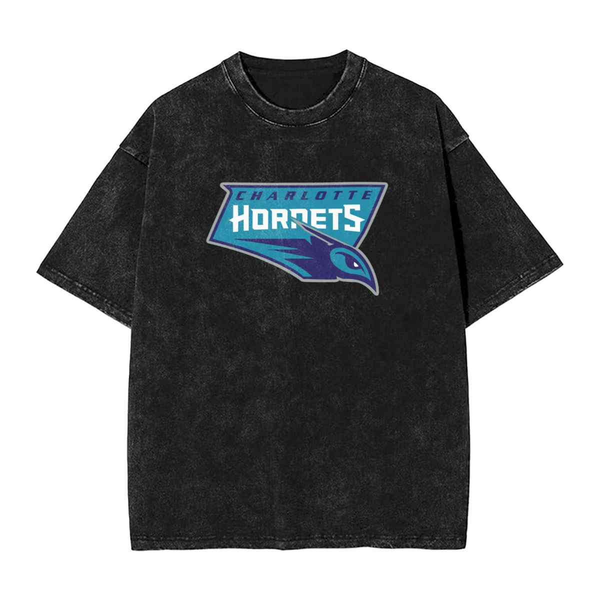 Charlotte Hornets Printed Vintage Men's Oversized T-Shirt