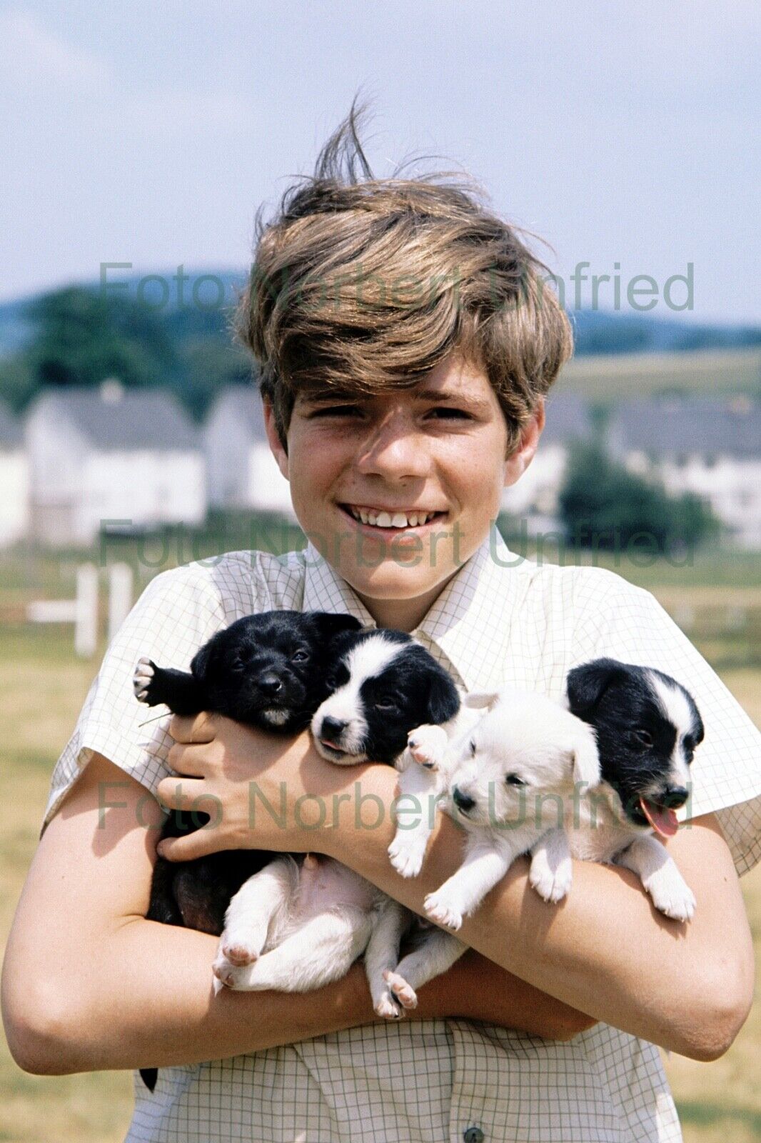 Heintje Hein Simons Dogs Puppies Photo Poster painting 20 X 30 CM Without Autograph (Nr 2-55