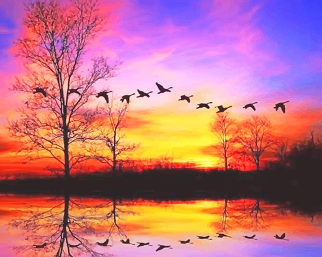 

Waterfowl Sunset – Paint By Numbers - 40*50CM, 501 Original