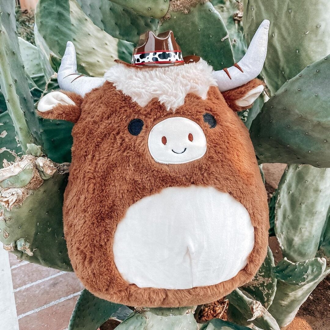 highland cows squishmallow