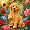 Diamond Painting -5D Full Round Drill Golden Retriever Puppy(40x40cm)