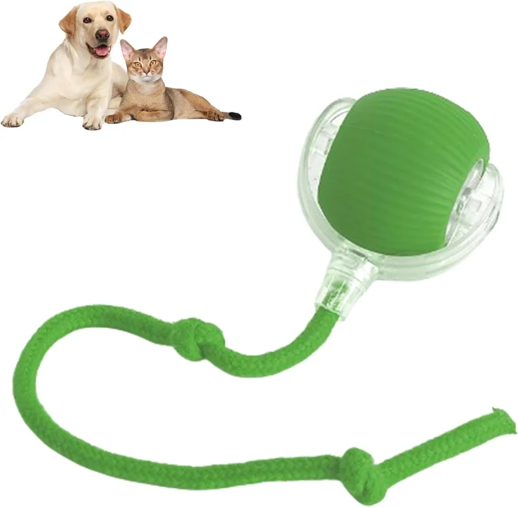  EPTCHN SpinKit - 🎁Perfect Christmas gift for your pet🎄