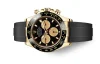 Rolex 116518LN Daytona Intense Black and champagne-colour - New