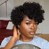 Best Design Africa Spiral Kinky Hair Short Curly Wig