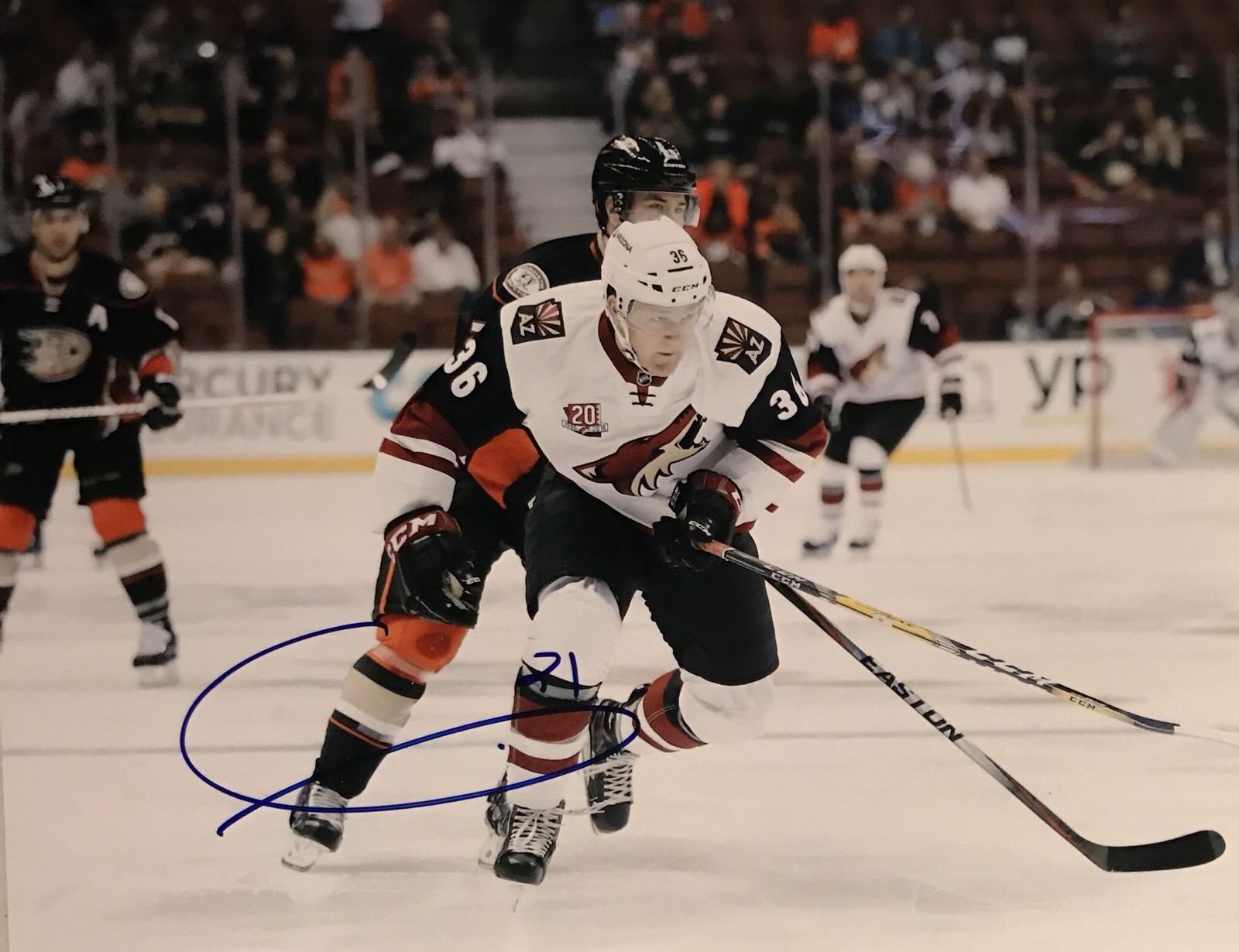 Christian Fischer Signed Autographed Arizona Coyotes 8x10 Photo Poster painting ROY Coa