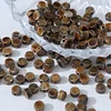 Netural Brown Khaki Colors Ceramic Beads DIY Jewelry Accessories