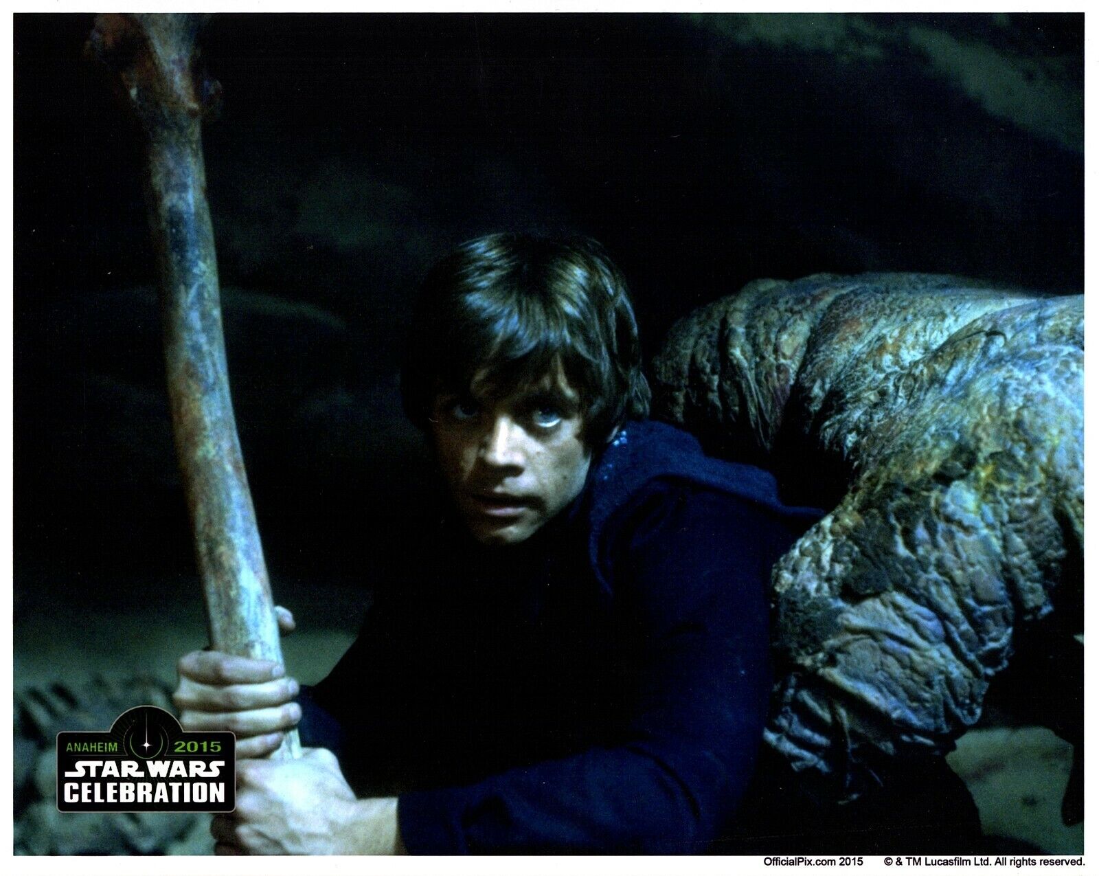 MARK HAMILL Unsigned 8x10 Photo Poster painting Star Wars Official Pix Luke Skywalker OPX 2015