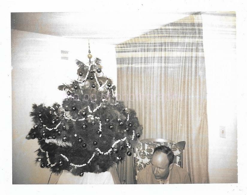 Vintage FOUND Photo Poster paintingGRAPH Black And White Snapshot CHRISTMAS TREE 22 46 O