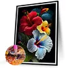 Diamond Painting -DIY Full Square Drill Opium Poppy