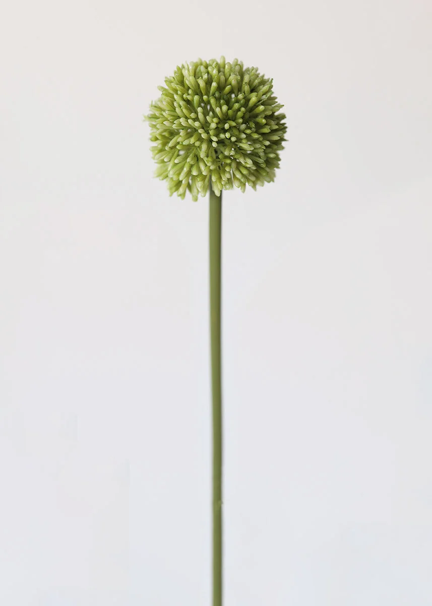 Faux Plastic Allium Flower - 21"