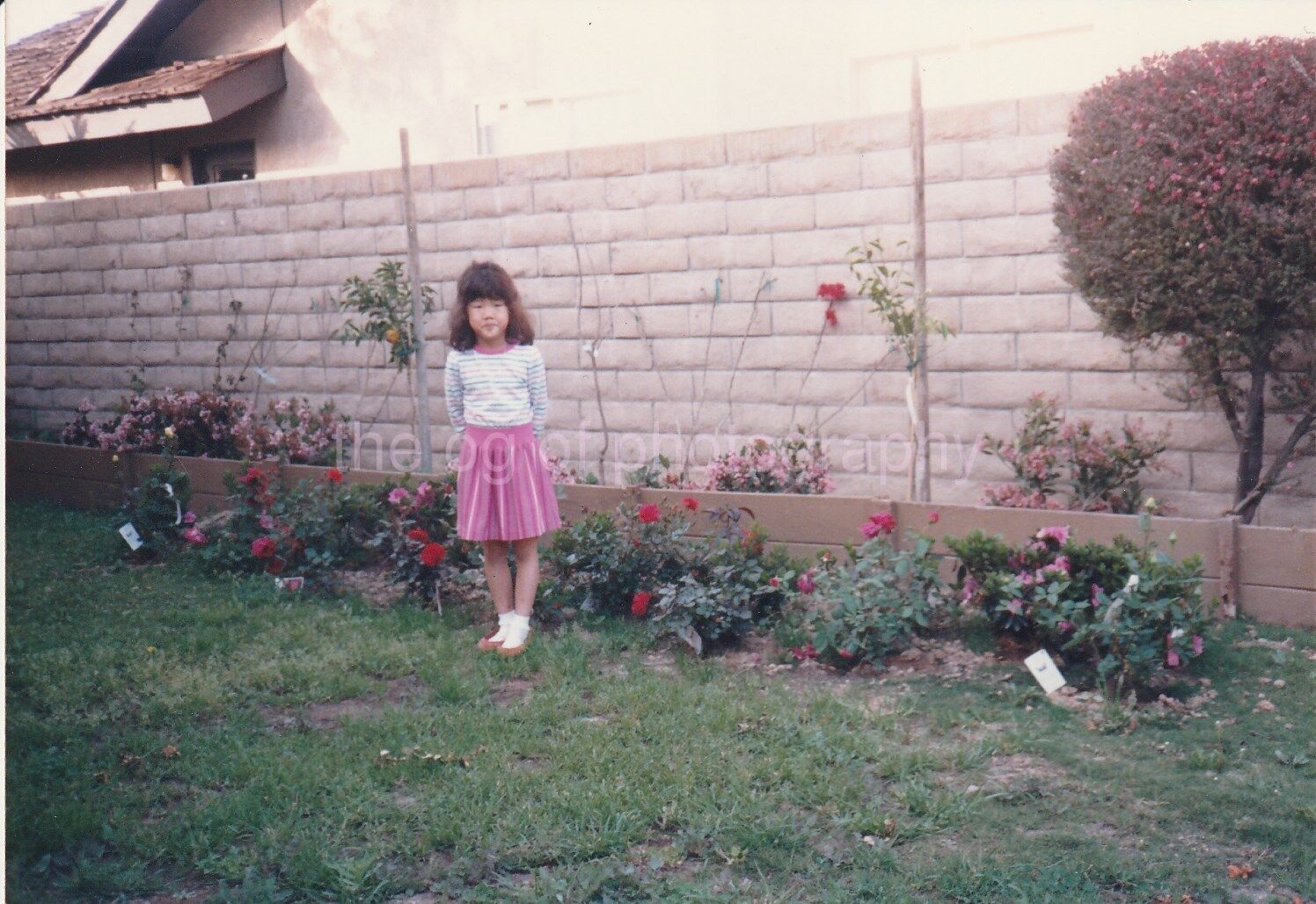 LITTLE GIRL Backyard Portrait FOUND Photo Poster painting ColorSnapshot 88 23 N