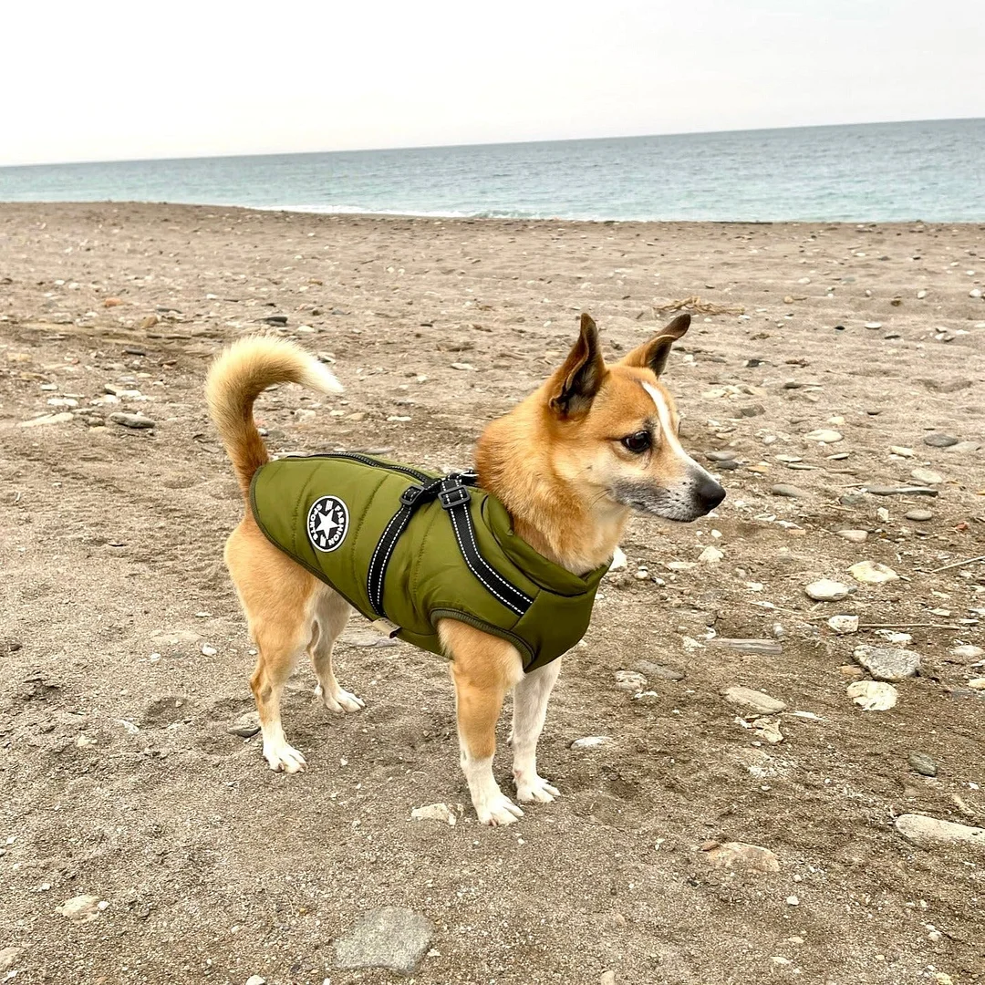 LuluPawz&trade; 3 in 1 Winter Coat