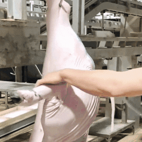 απροσδιόριστος απροσδιόριστος