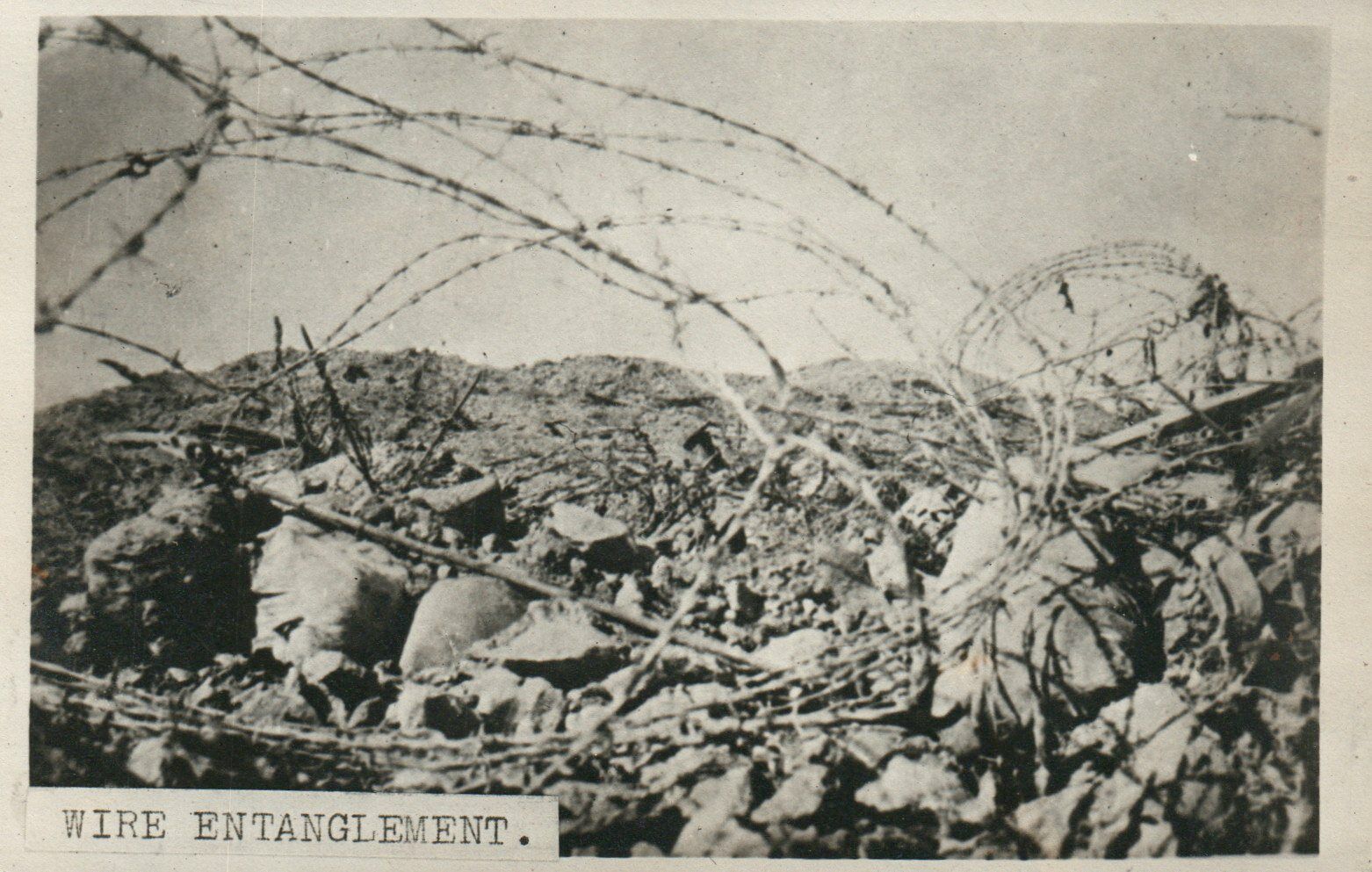 WWII WW2 Wire Entanglement Military Real Photo Poster painting RPPC Postcard