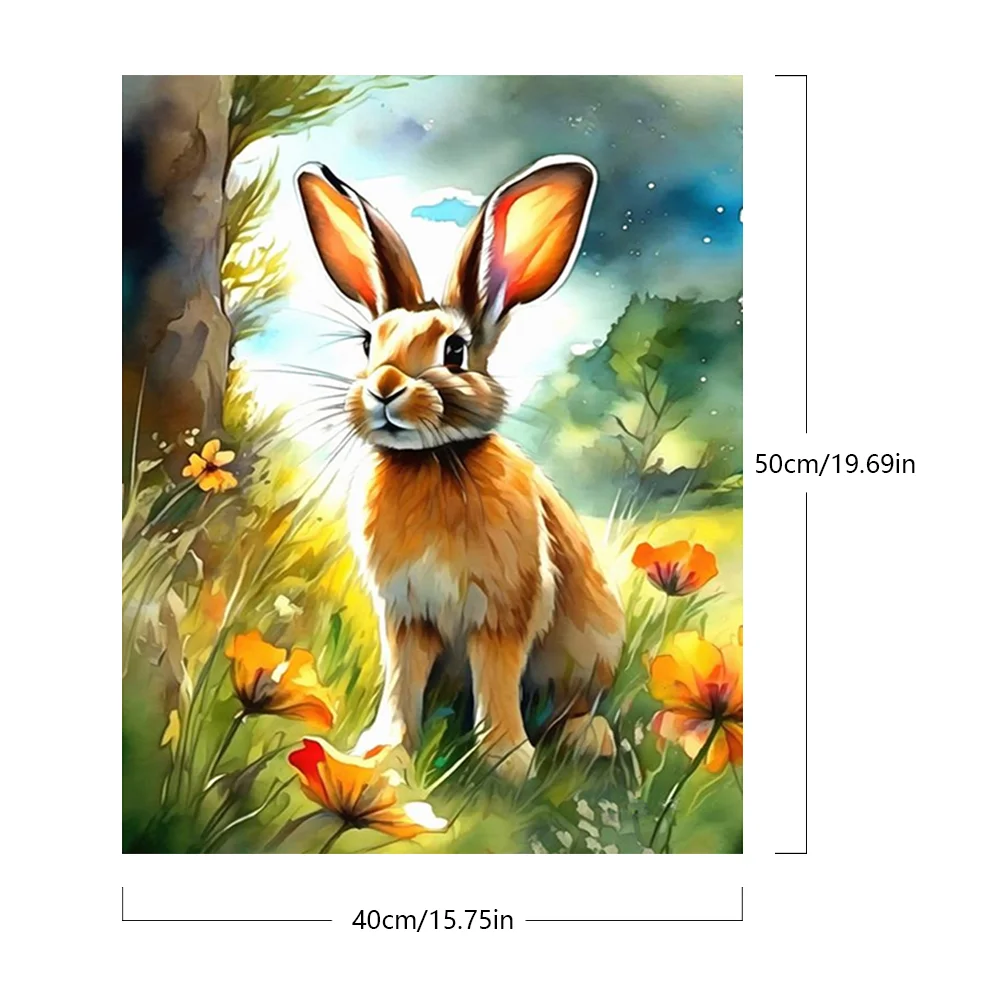 DIY Paint By Number 40*50cm - Rabbit