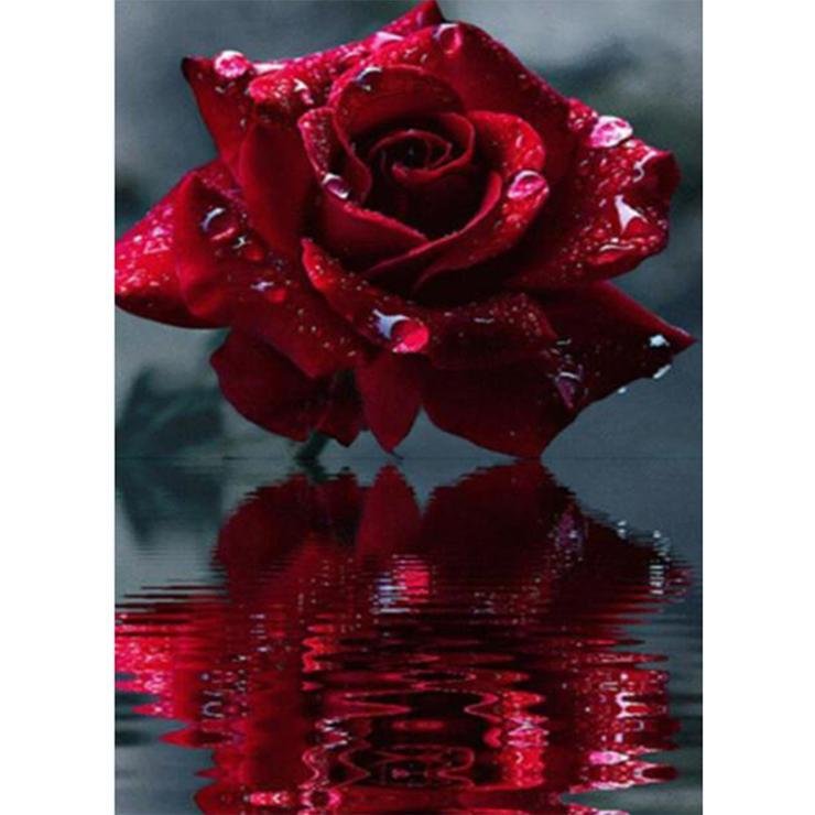 Full Round Diamond Painting Rose Dewdrop (40*30cm)