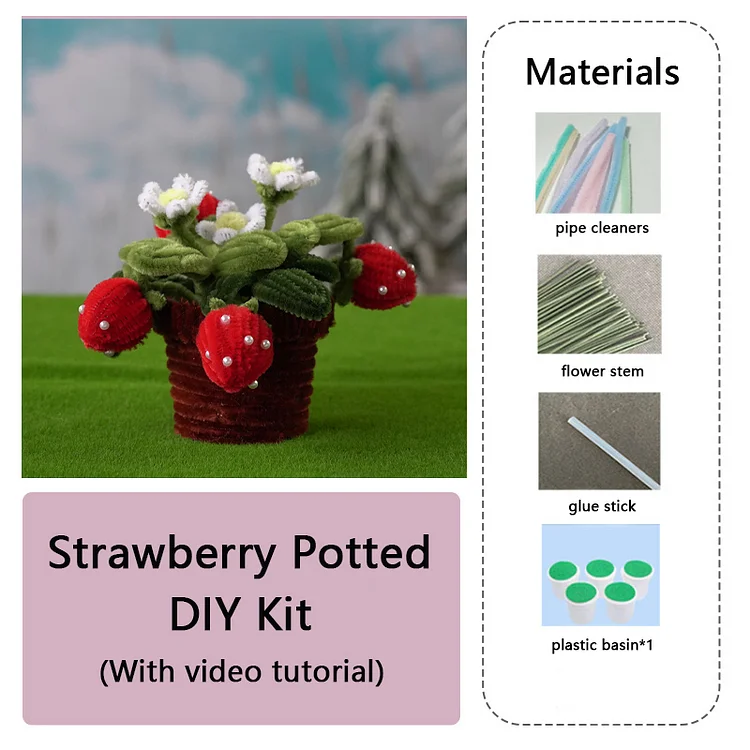 DIY Pipe Cleaners Kit - Strawberry Potted