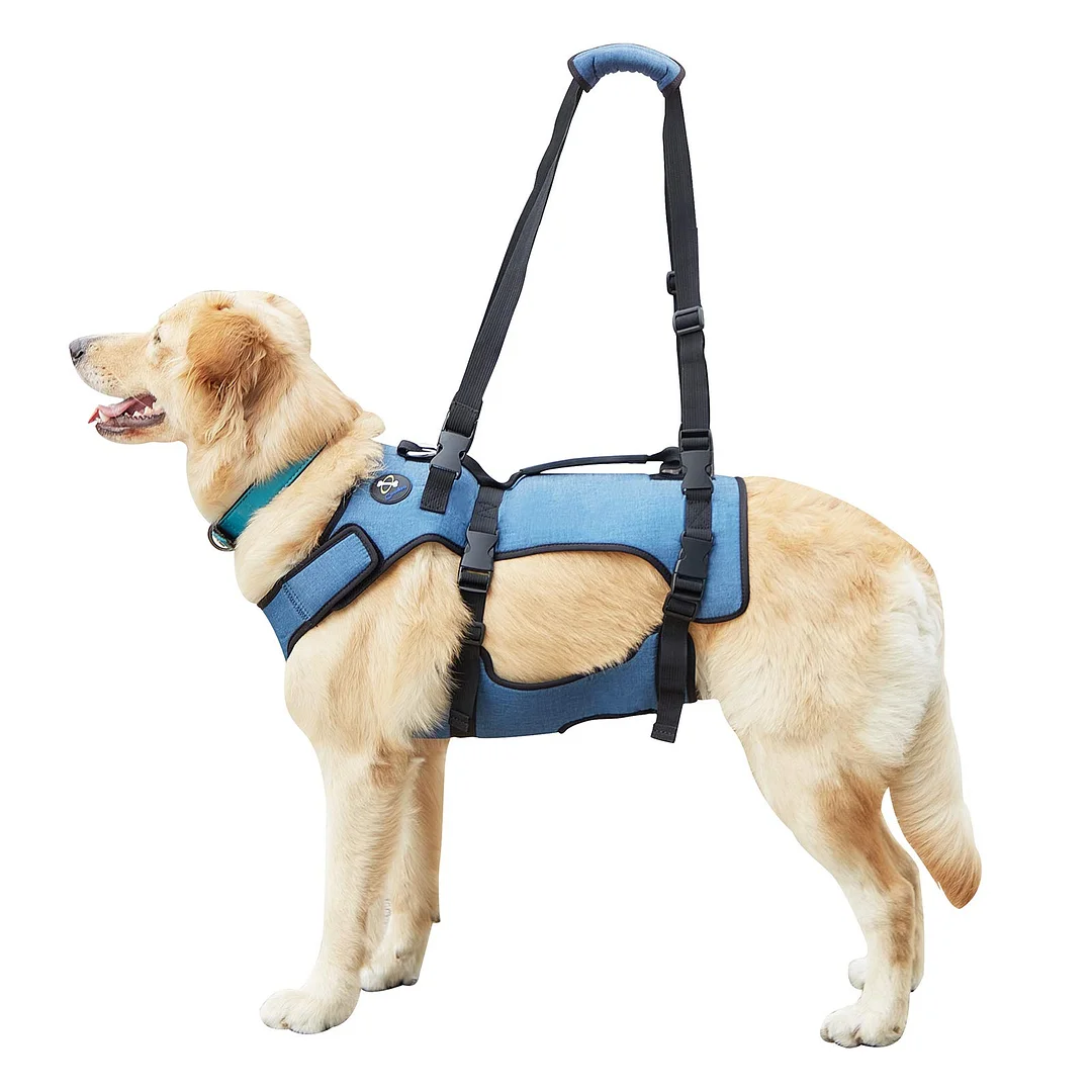 Dog Lift Harness, Support & Recovery Sling, Pet Rehabilitation Lifts Vest
