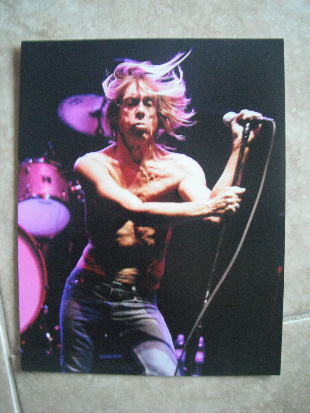 Iggy Pop The Stooges Live Color 11x14 Promo Photo Poster painting #2