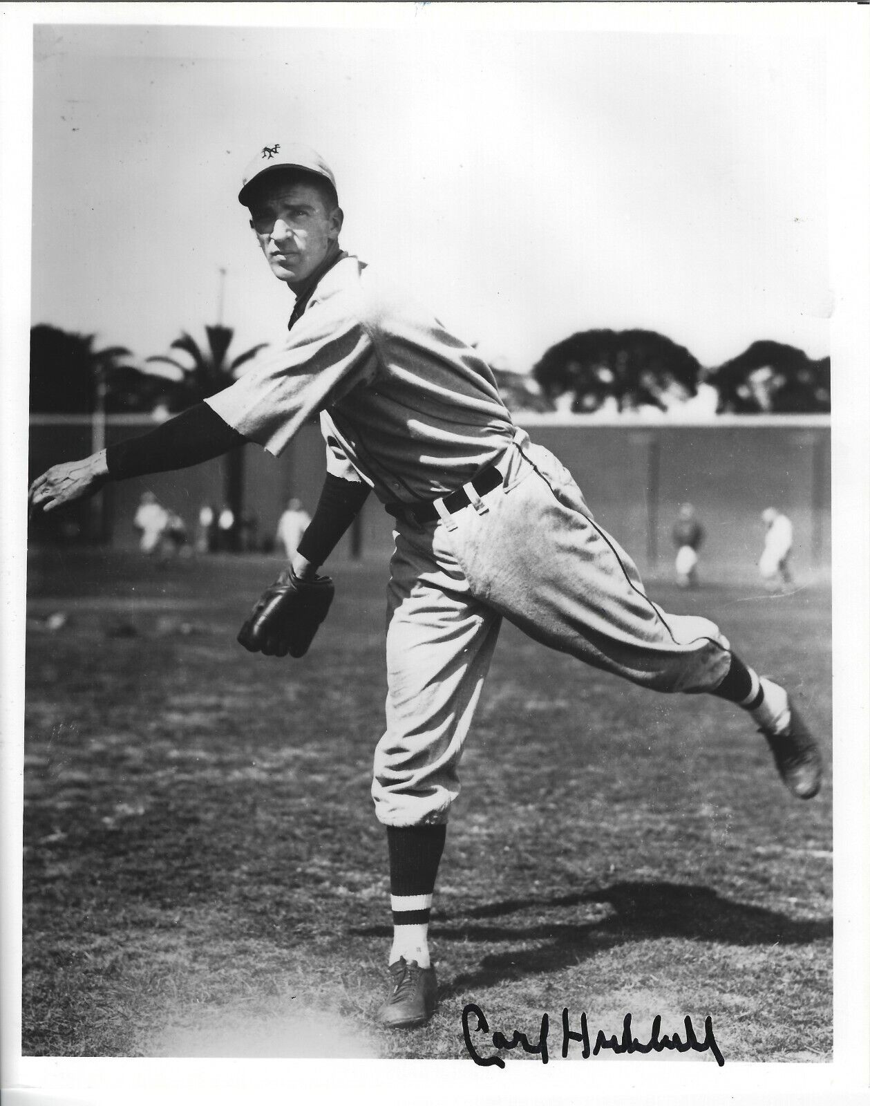 Autographed 8X10 Carl Hubbell New York Giants Photo Poster painting - w/COA