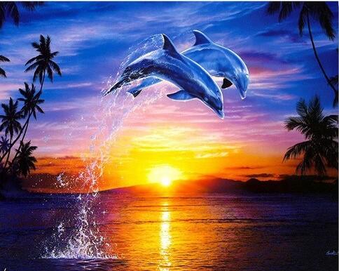 

Dolphin Sunset Leap – Paint By Numbers - 40*50CM, 501 Original