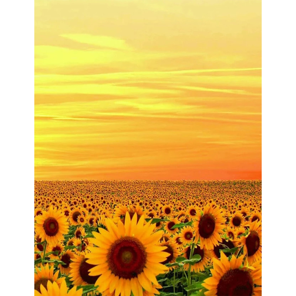 

Sunflower - 11CT Stamped Cross Stitch - 36*46CM, 501 Original