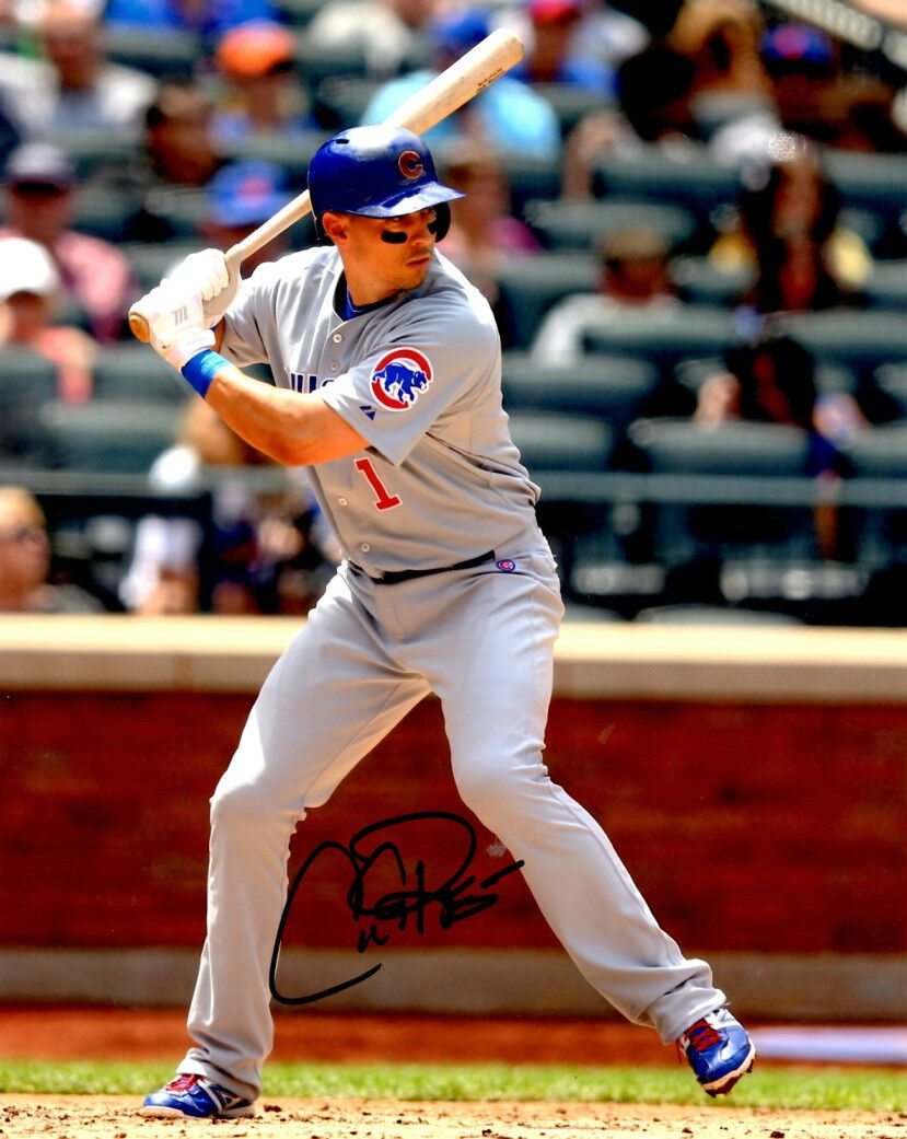 Signed 8x10 CODY RANSOM Chicago Cubs Photo Poster painting - COA