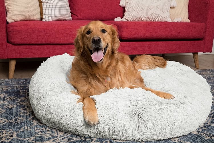 WILLHAPPYS™ Calming Dog Bed The Original Super Comfy & Anti Anxiety