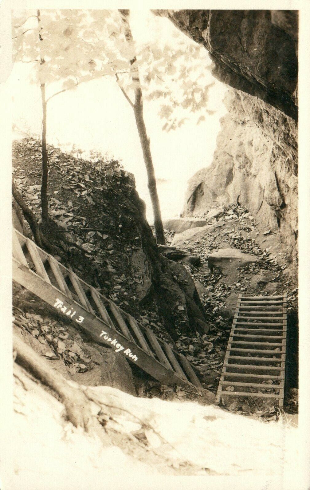 Vintage Turkey Run State Park Indiana Trail 3 RPPC Real Photo Poster painting Postcard 1939